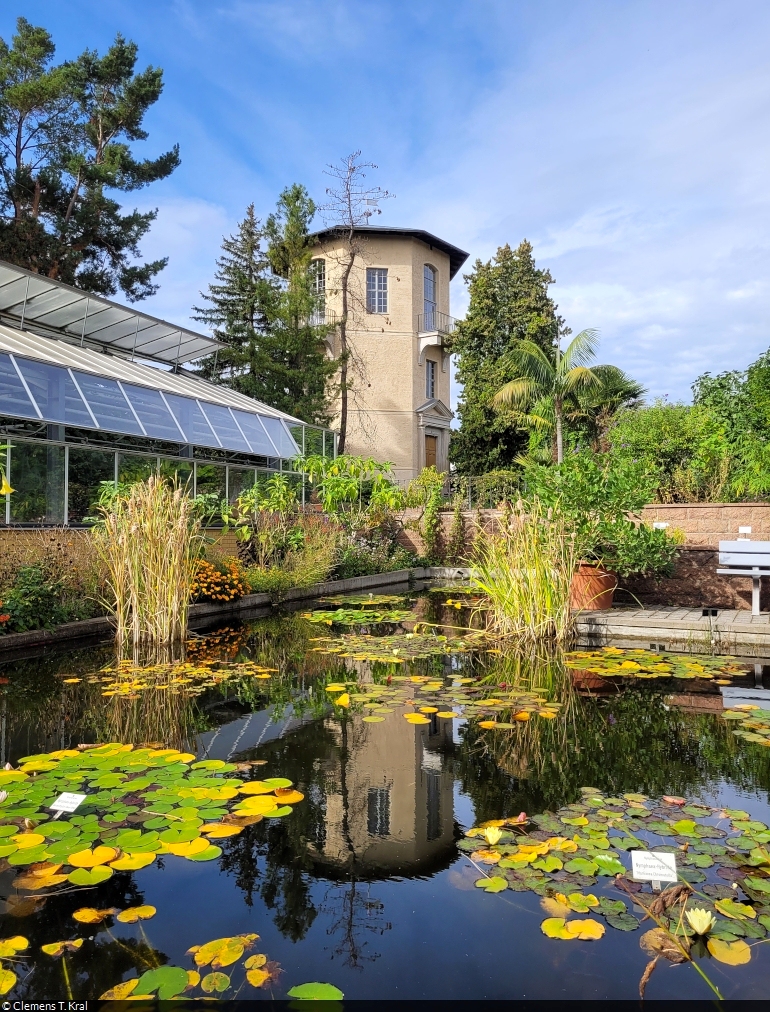 Im Botanischen Garten von Halle (Saale). Der ruhige Seerosenteich spiegelt die 1788 erbaute Sternwarte.

🕓 6.10.2023 | 14:03 Uhr