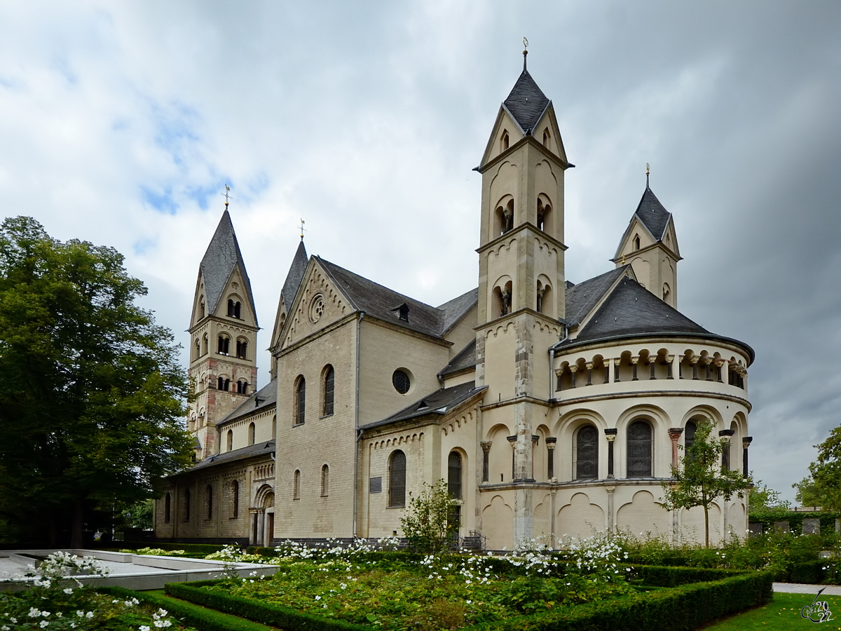 Im Garten der 836 geweihten Basilika St. Kastor in Koblenz. (September 2013)