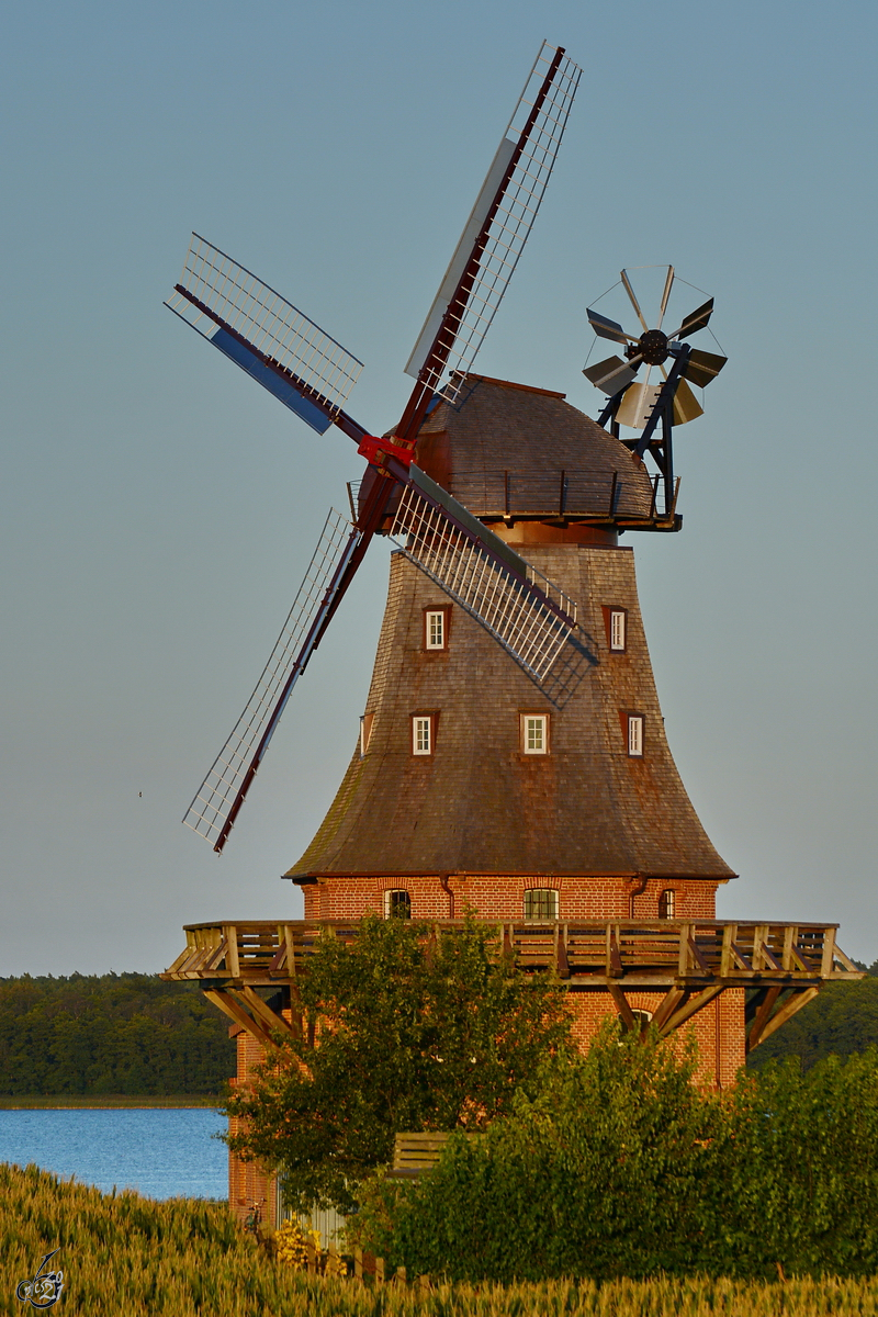 Im Jahre 1863 wurde diese Windmhle auf einer Anhhe auerhalb der Stadt Goldberg beim Goldberger See gebaut. (August 2014)