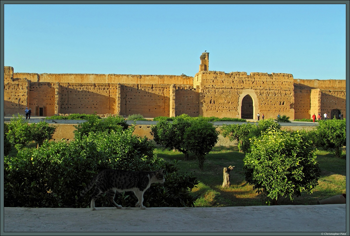 Im Vergleich mit den Touristen werden die riesigen Ausmaße des El-Badi-Palastes in Marrakesch deutlich. Heute sind von der Anlage nur noch Ruinen erhalten. Diese werden auch von Störchen als Nistplatz genutzt. (Marrakesch, 18.11.2015)
