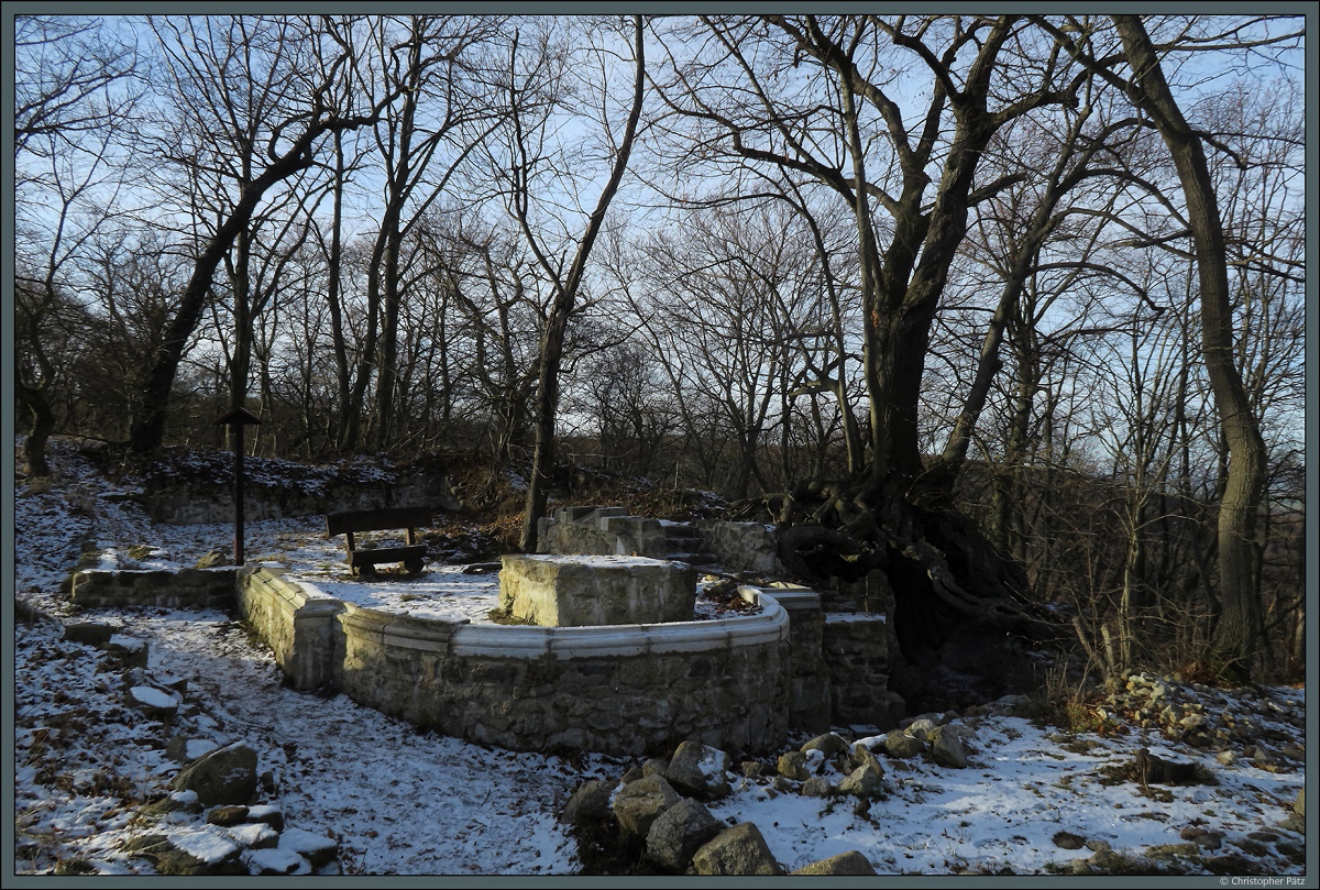 Im Zentrum der Burgruine Lauenburg, die zur Zeit ihrer Errichtung im 11. Jahrhundert eine der grten Burganlagen war, sind die Grundmauern einer Kapelle erhalten geblieben. Rechts davon befindet sich der  schwebende Baum . (bei Stecklenberg, 19.01.2019)