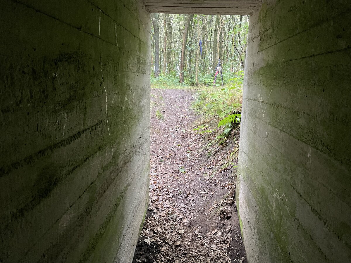 In der ehemaligen deutschen Batterie Andholm nrdlich von Rdekro (deutsch: Rothenkrug) in Nordschleswig. Aufnahme: 9. August 2021.