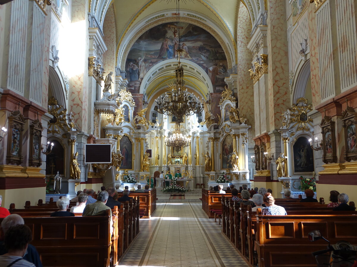 Janow-Lubelski, barocker Innenraum der Pfarrkirche St. Johannes der Tufer (18.06.2021)