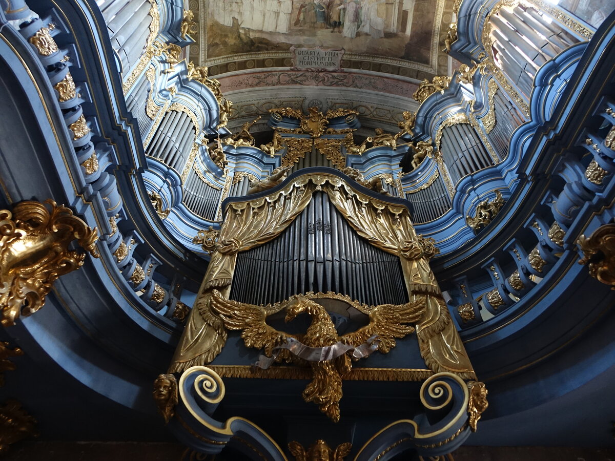 Jedrzejow, Orgel in der Klosterkirche St. Marien und Adalbert (19.06.2021)