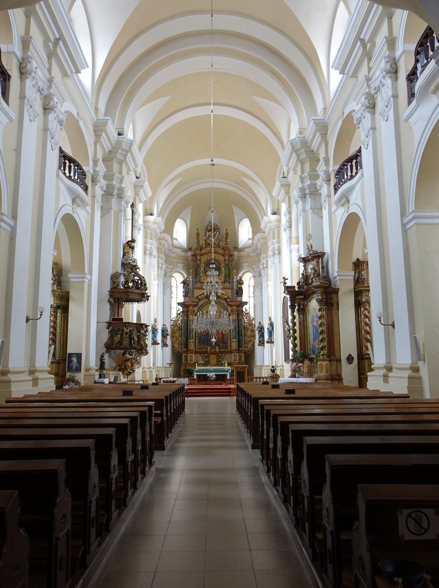 Kaden / Kaaden, barocker Innenraum der Hl. Kreuz Kirche (07.07.2019)