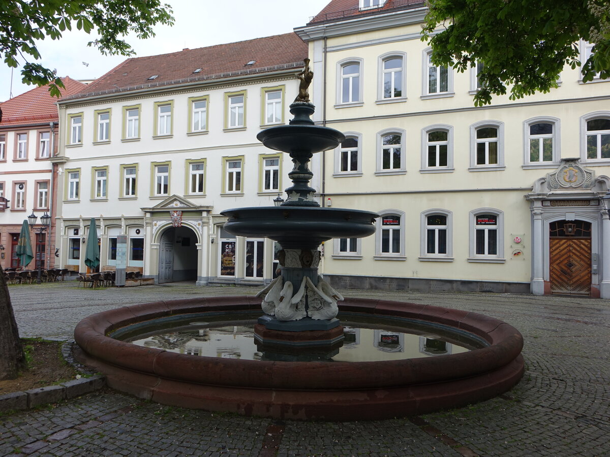 Kaiserslautern, Martinsbrunnen am St. Martins Platz (16.05.2021)