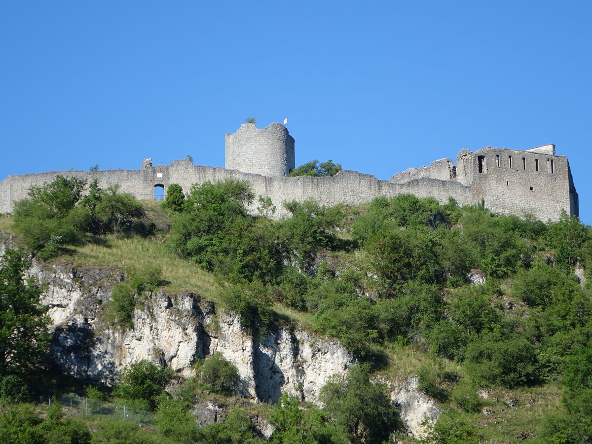 Kallmnz, Burgruine, Randhausburg mit Resten des dreigeschossigen Palas mit Fensterarkaden, erbaut um 1250 (11.06.2017)