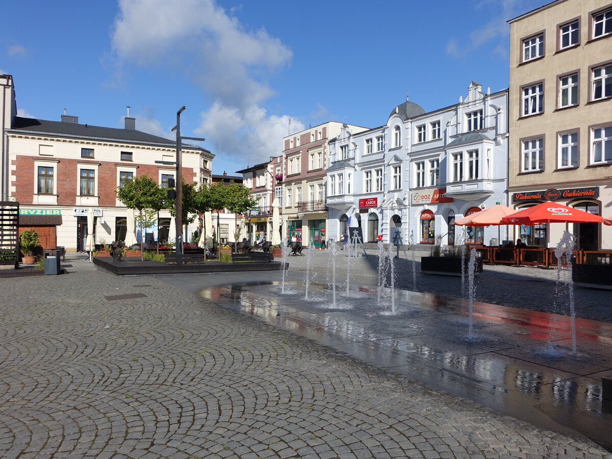 Kartuzy / Karthaus, Brunnen und Huser am Rynek Platz (02.08.2021)