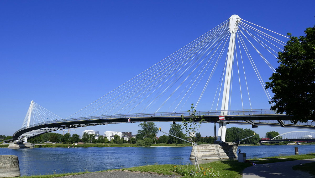 Kehl, Brücke für Fußgänger und Radfahrer, verbindet das deutsche und französische Ufer des Rheins, 2004 eröffnet, Gesamtlänge 387m, Mai 2020