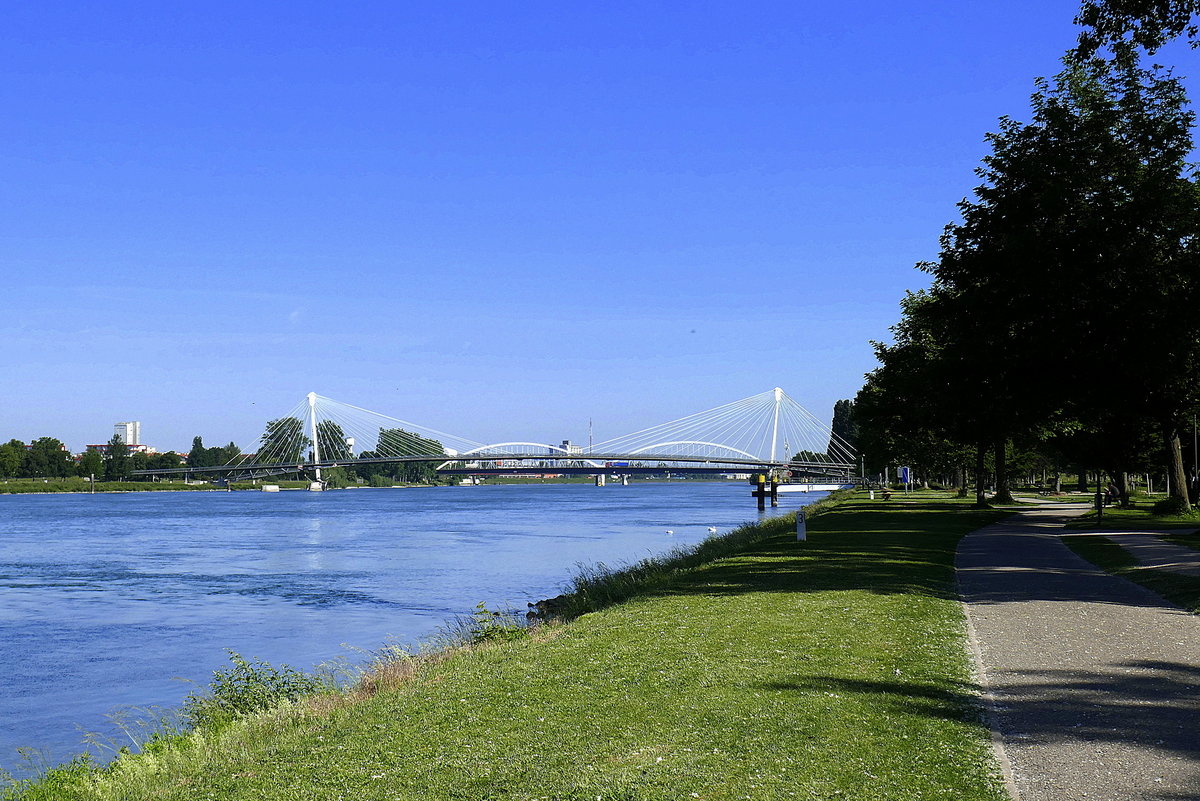 Kehl, Parkanlage an der Rheinpromenade, mit Blick auf die Fugnger-und Radfahrerbrcke, Mai 2020