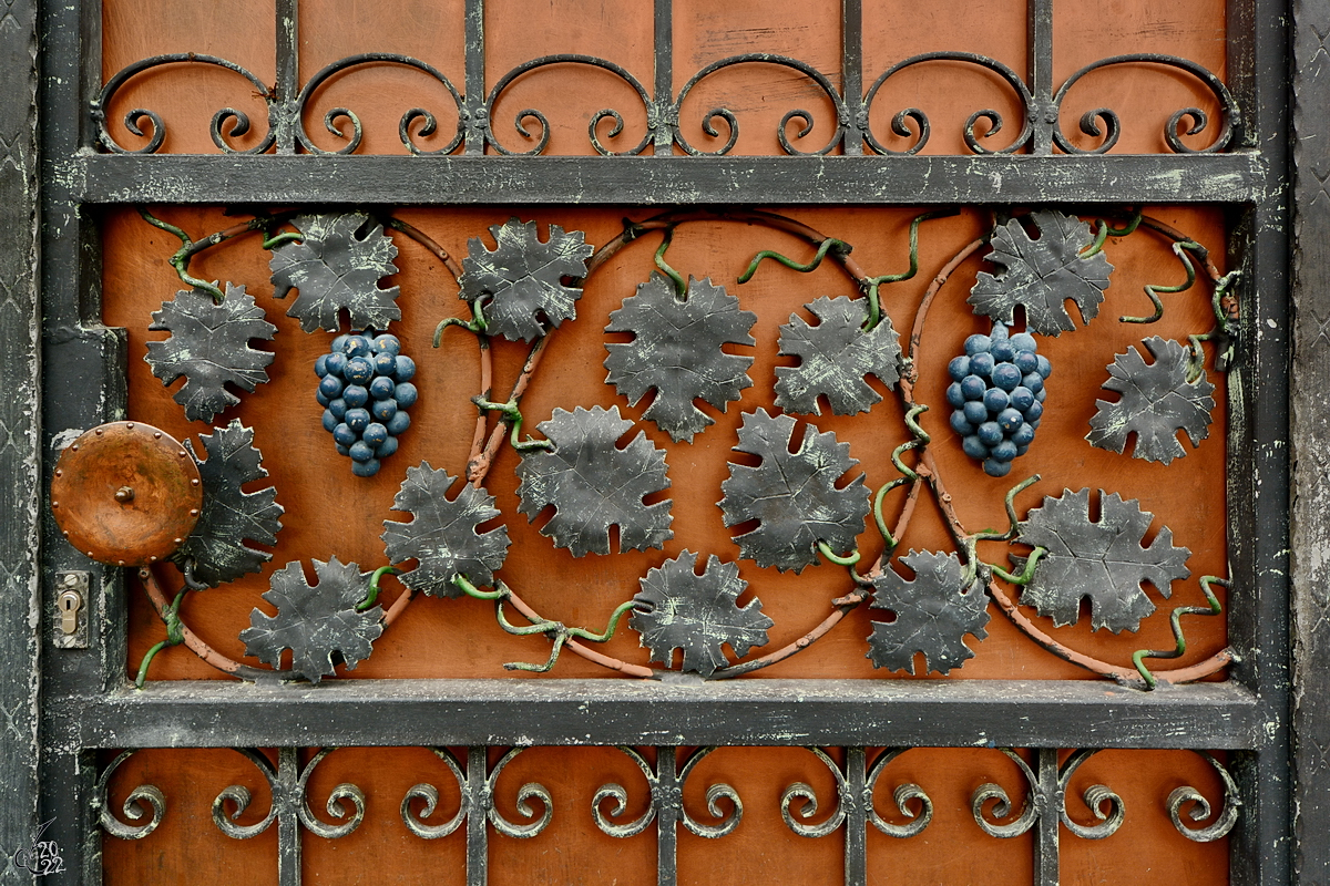 Kein Zweifel, wir befinden uns in einem Weinanbaugebiet. (Neustadt an der Weinstrae, Dezember 2014)