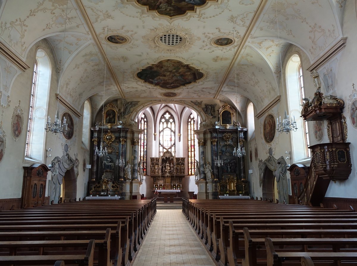 Kenzingen, barocker Innenraum der Stadtkirche St. Laurentius (14.08.2016)