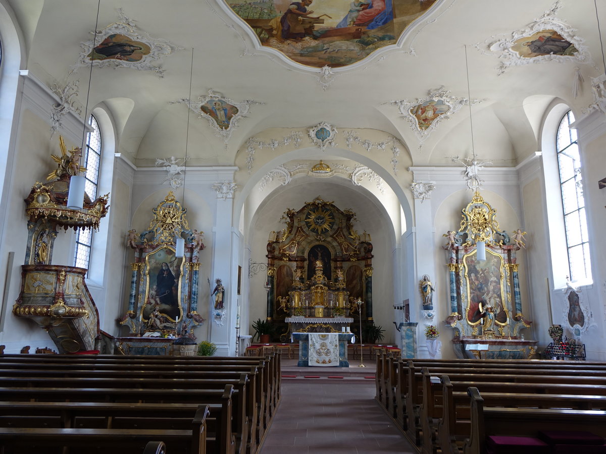 Kiechlinsbergen, barocker Innenraum der St. Petronella Kirche (14.08.2016)