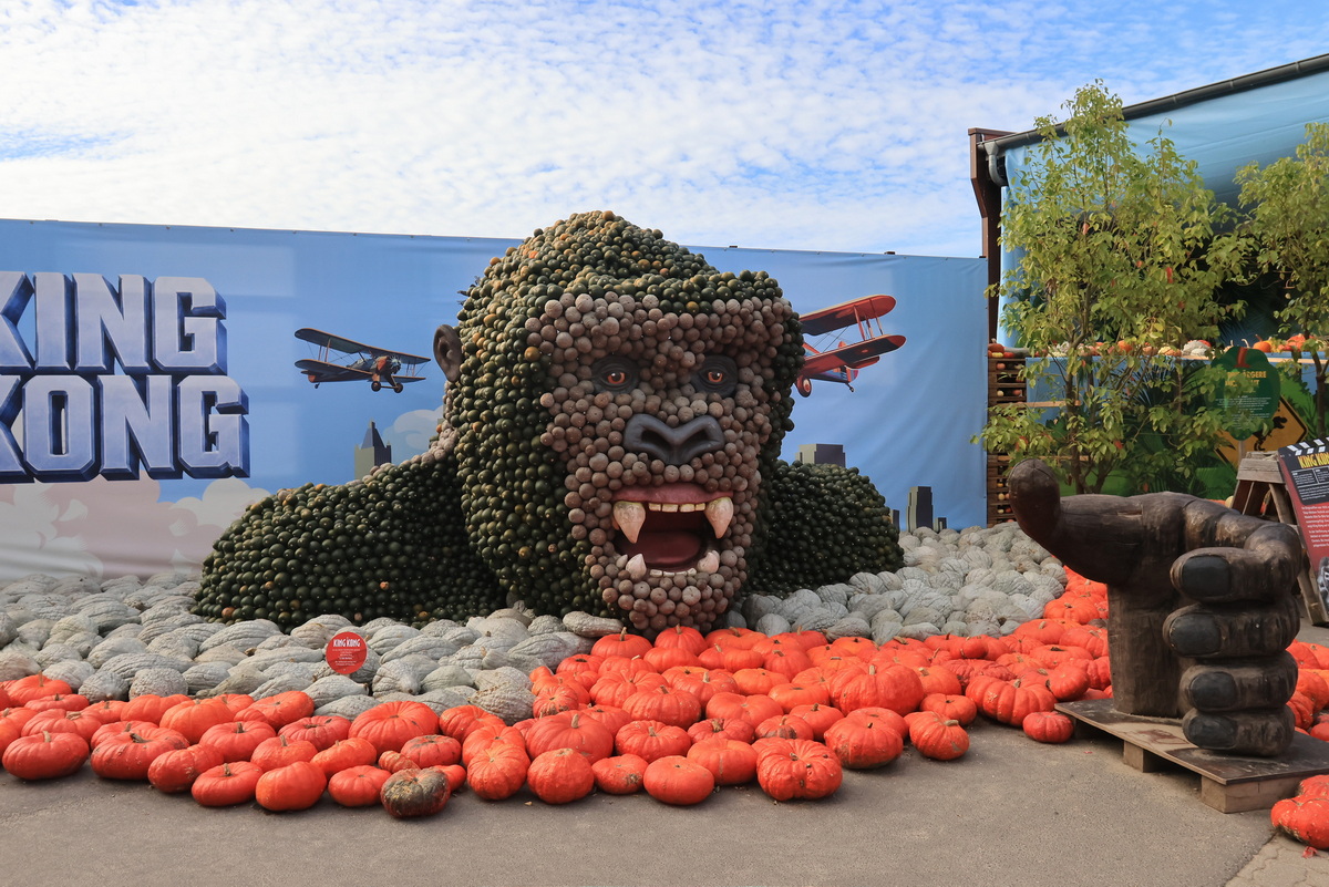 KingKong aus K�rbissen auf den Spargelhof am 16. Oktober 2026 in Klaistow bei einer  gro�en K�rbisschau.
