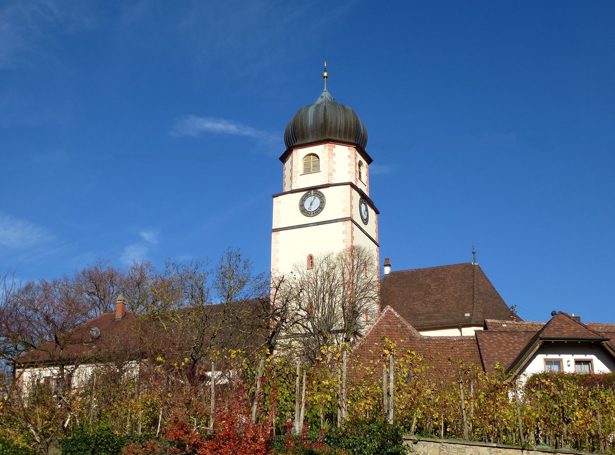Kirchhofen im Markgräflerland, Blick zur barocken Wallfahrtskirche St.Mariä Himmelfahrt, Nov.2015