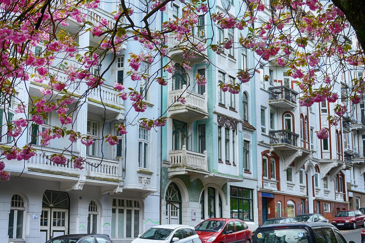 Kirschblte und Jugendstilhuser an der Toosbystrae in Flensburg. Aufnahme: 2. Mai 2020.