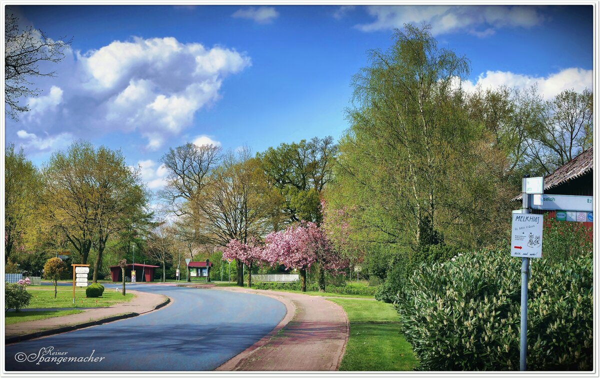 Kirschblte in Vahlde an der K 212. Ein Dorf im Kreis Rotenburg (Wmme). April 2022