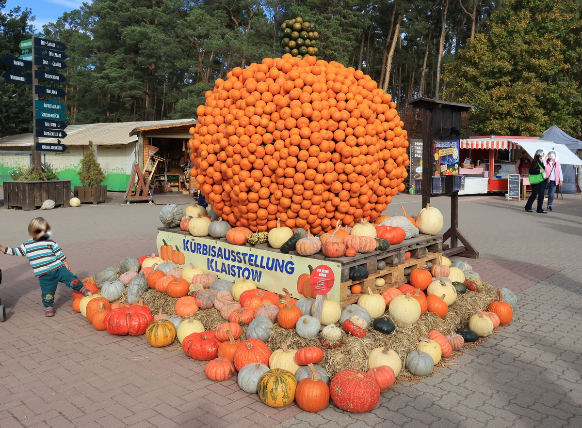 Klaistow in Brandenburg im Landkreis Potsdam-Mittelmark, auf den Spargelhof findet seit Jahren j�hrlich im Herbst eine gro�e K�rbisschau statt, besucht am 16. Oktober 2026.