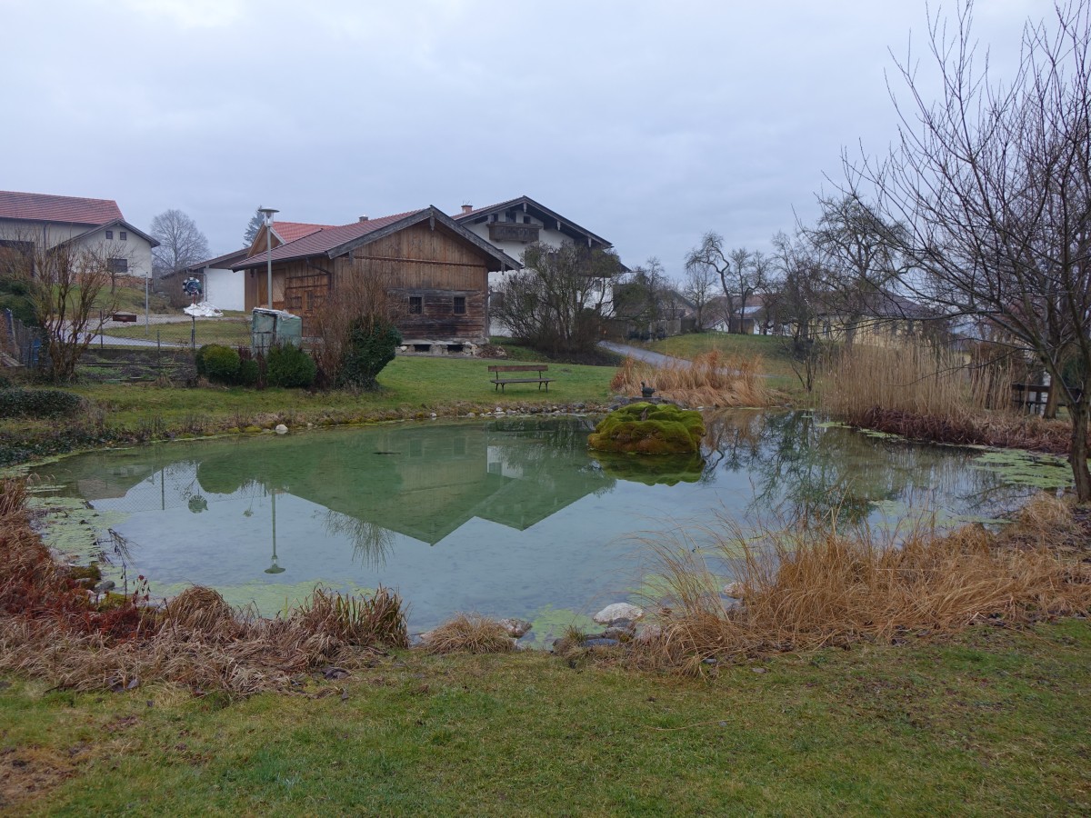 Kleiner Teich am Dorfplatz von Trring (15.02.2016)