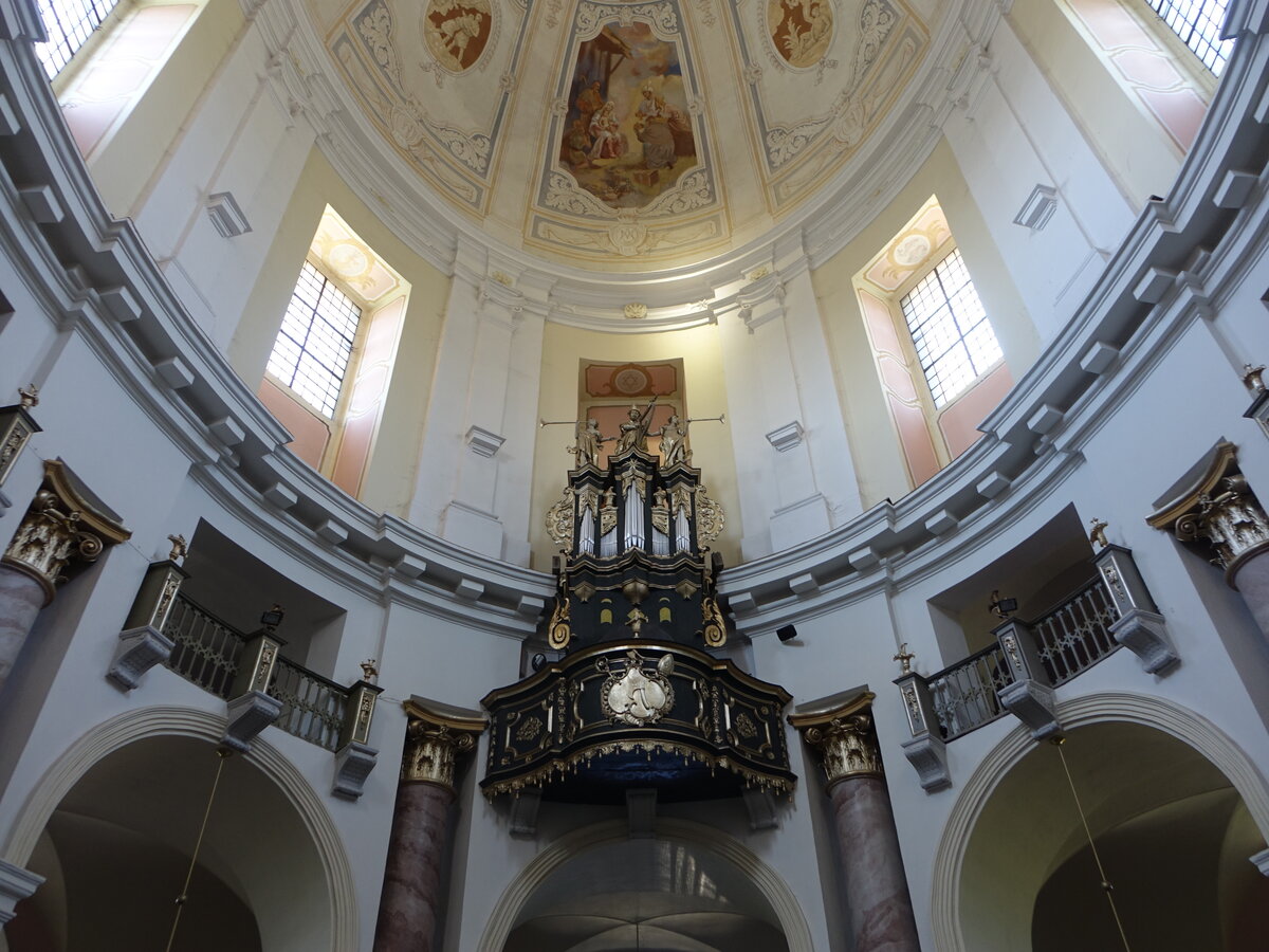 Klimontow, Orgelempore in der St. Jozef Kirche (18.06.2021)