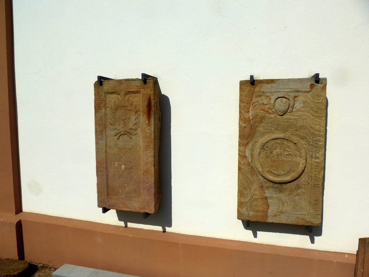 Klingenmnster, historische Grabplatten (Epitaphe) an der Auenmauer der ehemaligen Klosterkirche, Sept.2017