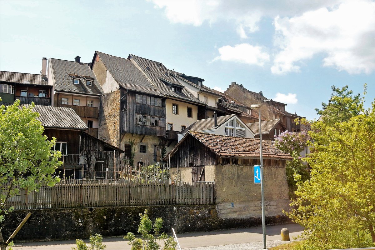 Klingnau, alte Wohnhäuser an der Sonnengasse, Rückseitenansicht - 04.05.2016