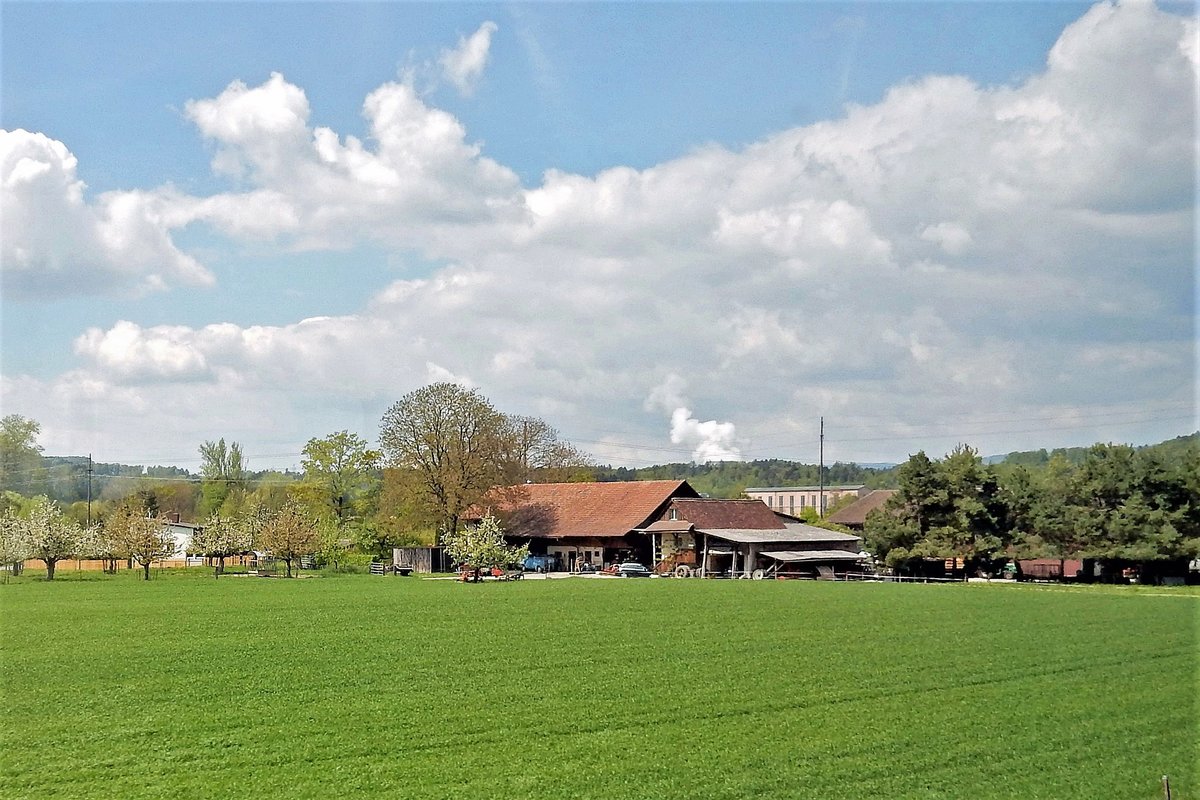 Klingnau, landwirtschaftlicher Betrieb an der Austrasse 4 - 04.05.2016