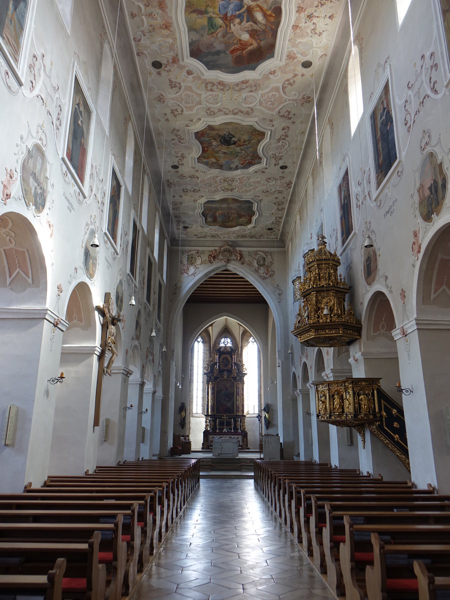 Kloster Plankstetten, Mittelschiff der Klosterkirche, Deckengemälde von Matthias Zink (26.03.2017)