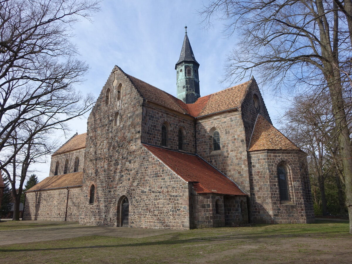 Kloster Zinna, Klosterkirche St. Maria, erbaut im 12. Jahrhundert (10.03.2026)