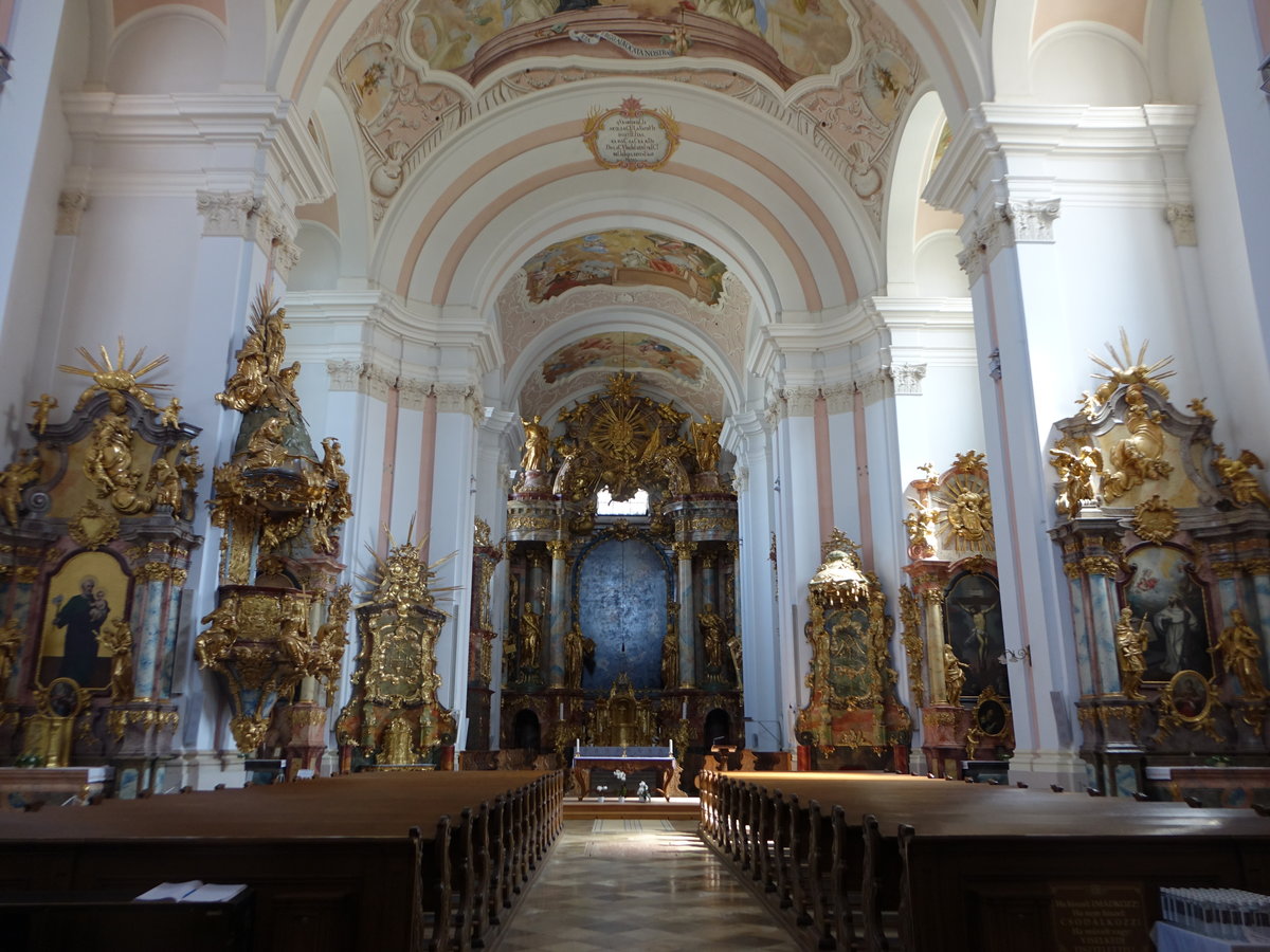 Kloster Zirc, barocker Innenraum der Klosterkirche, Hochaltarbild von Franz Anton Maulbertsch (27.08.2018)