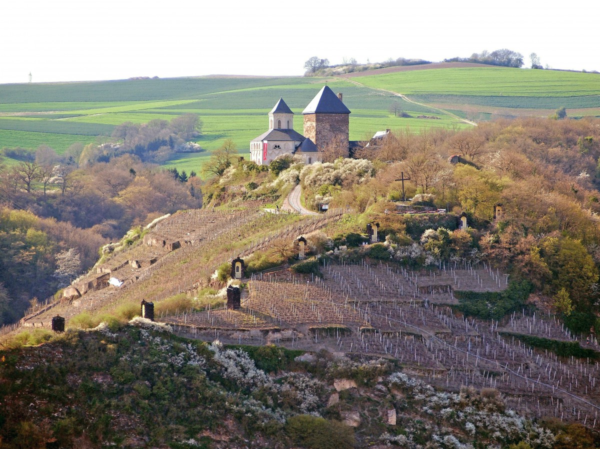 Kobern. Die Oberburg mit Bergfried und der um 1230 erbauten Burgkapelle St. Matthias. (15. April 2015)