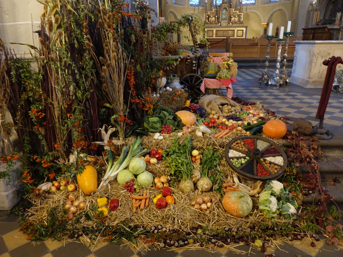 Koblenz, Erntedankaltar in der Basilika St. Kastor (02.10.2016)