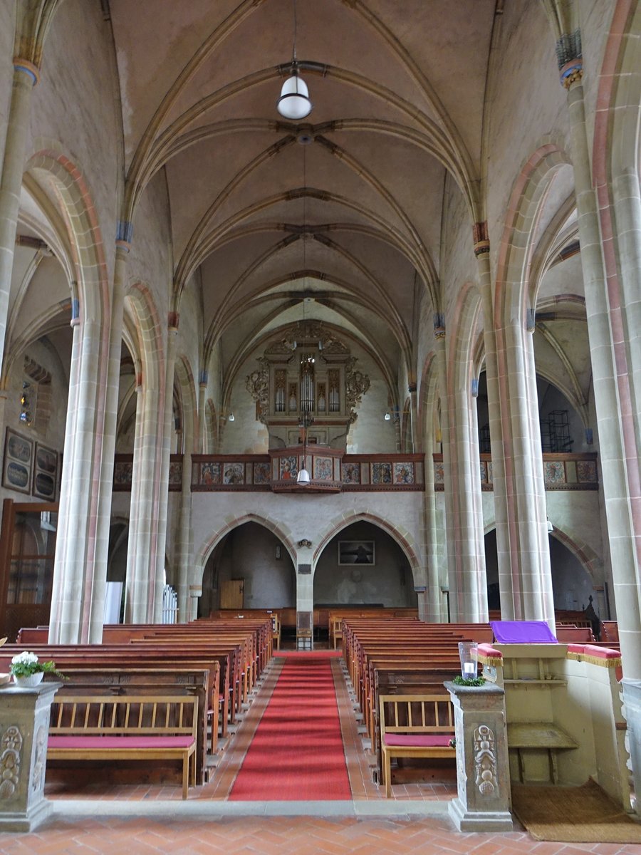 Knigsberg, Orgelempore der Stadtkirche St. Maria (25.03.2016)
