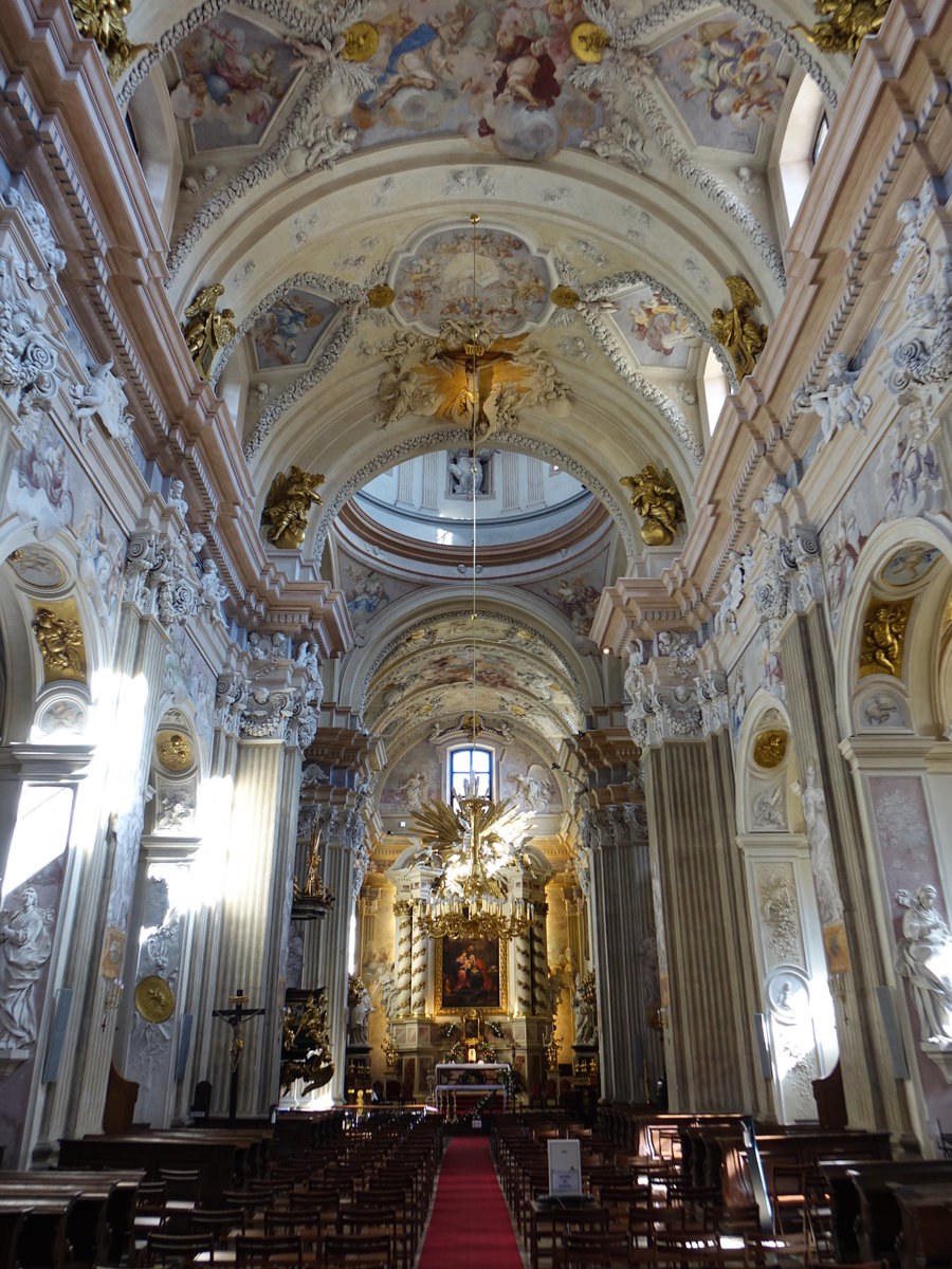 Krakau, barocker Innenraum der Universittskirche St. Anna, Stuck und Altre von B. Fontanas, Fresken von K. Dankwart, Altargemlde von J. Monti (04.09.2020)