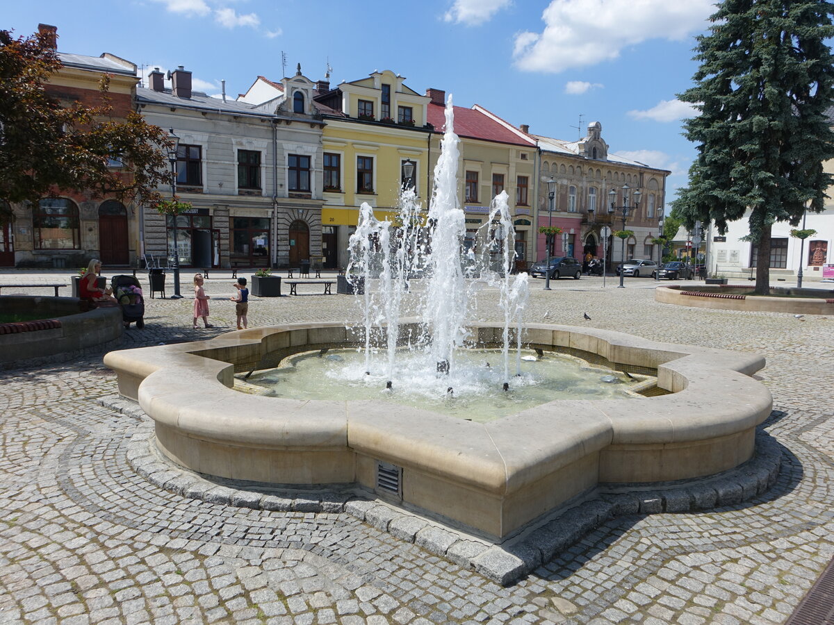 Krosno, Brunnen und Huser am Rynek Platz (17.06.2021)