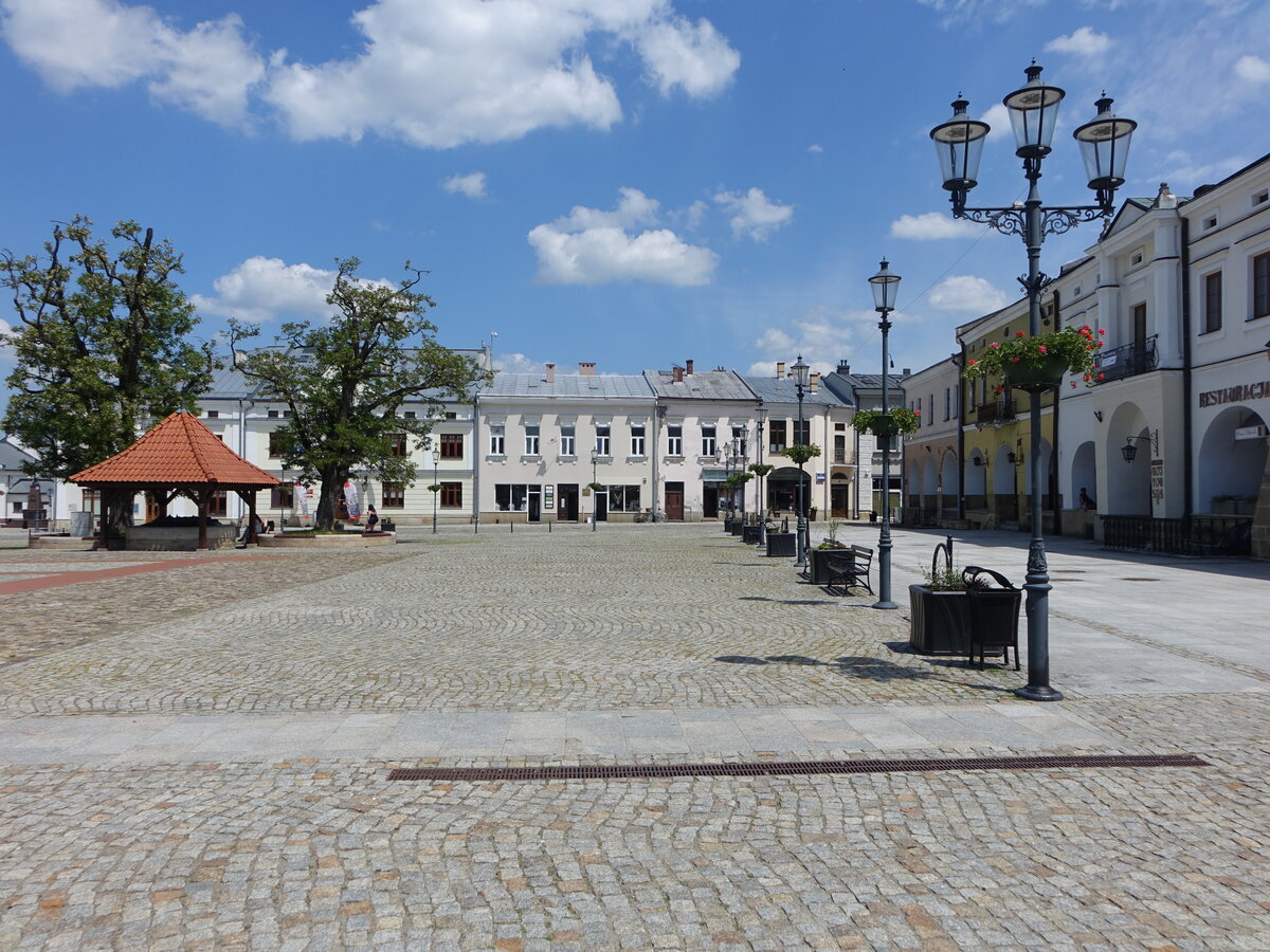 Krosno, historische Gebude am Rynek Platz (17.06.2021)