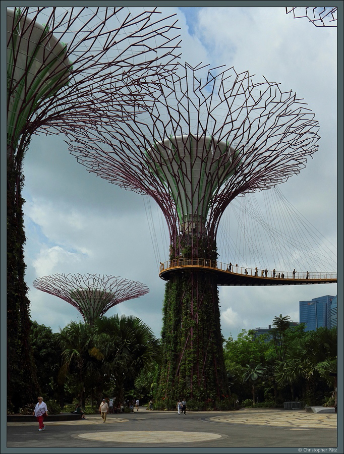 Künstlicher Baum  Super Tree  im Park  Gardens by the Bay  in Singapur. (11.01.2020)