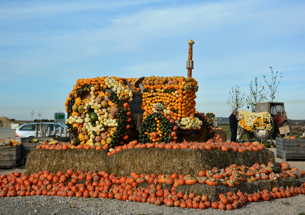 Krbiskunstwerk  Traktor  bei Kommern - 03.11.2015