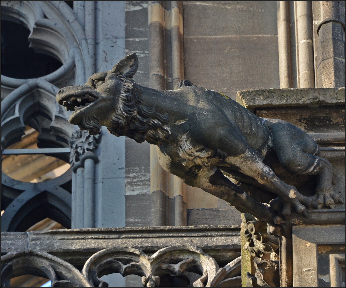 Kunst am Klner Dom - Wasserspeier. Frhjahr 2014.