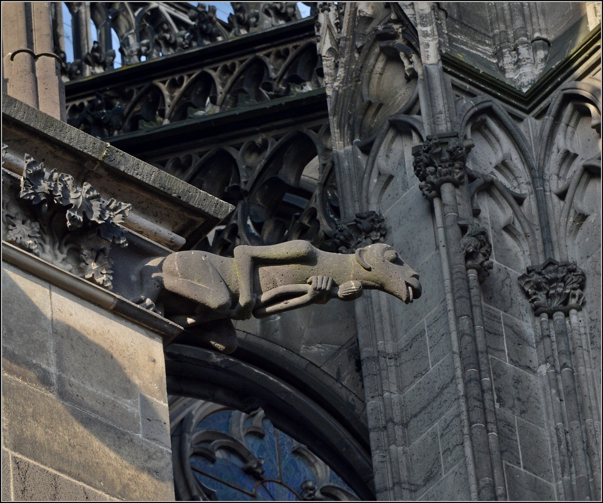 Kunst am Klner Dom - Wasserspeier. Frhjahr 2014.