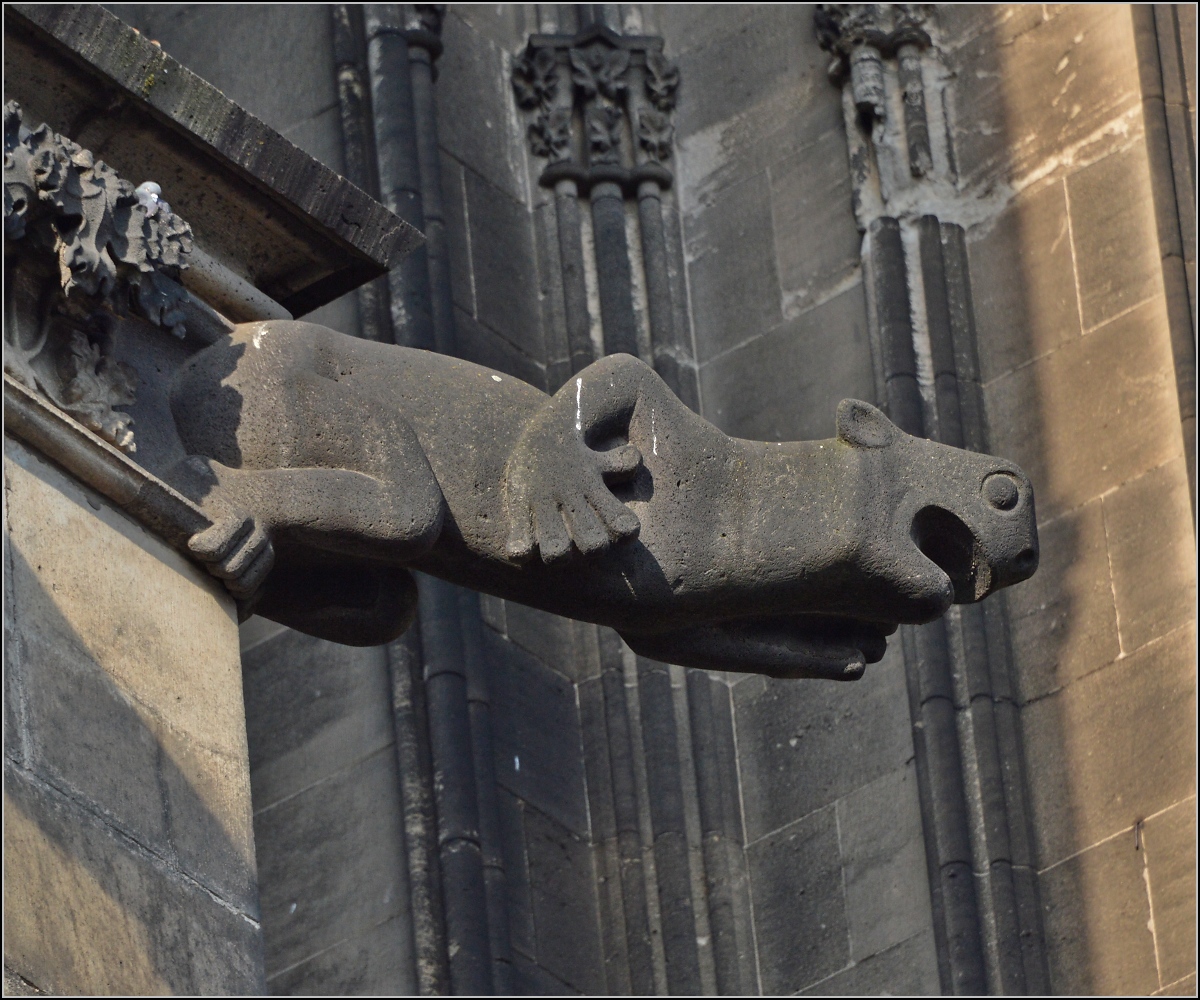 Kunst am Klner Dom - Wasserspeier. Frhjahr 2014.