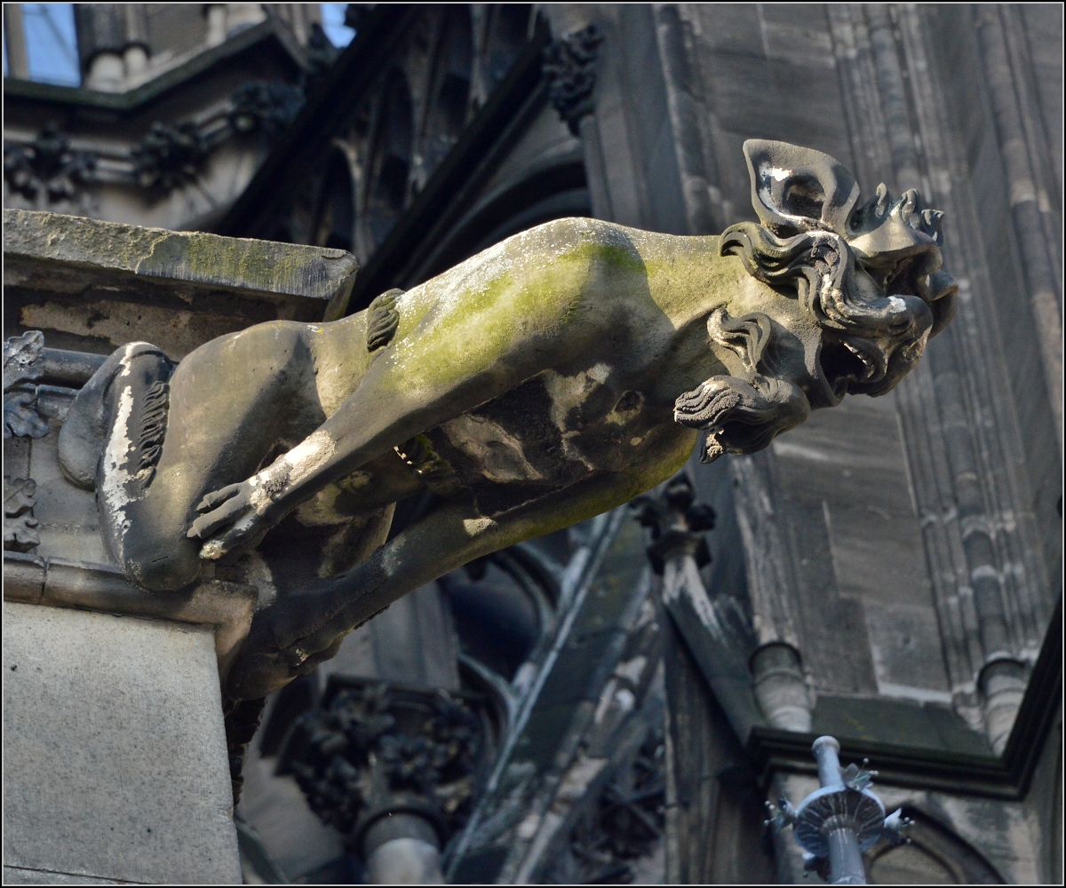 Kunst am Klner Dom - Wasserspeier. Frhjahr 2014.