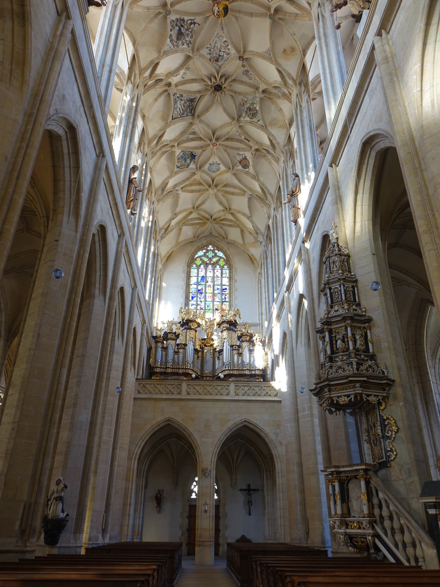 Kutna Hora / Kuttenberg, Kanzel und Orgelempore in der St. Barbara Kathedrale (30.09.2019)