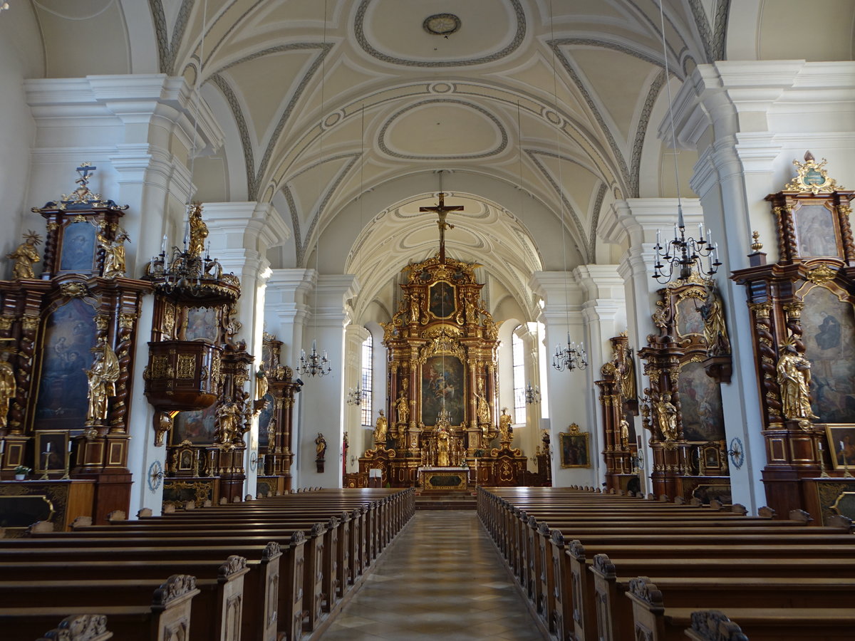 Landau a. d. Isar, barocker Innenraum der Maria Himmelfahrt Kirche, Altre von 1726, Altarbltter von Johann Kaspar Sing (21.11.2016)