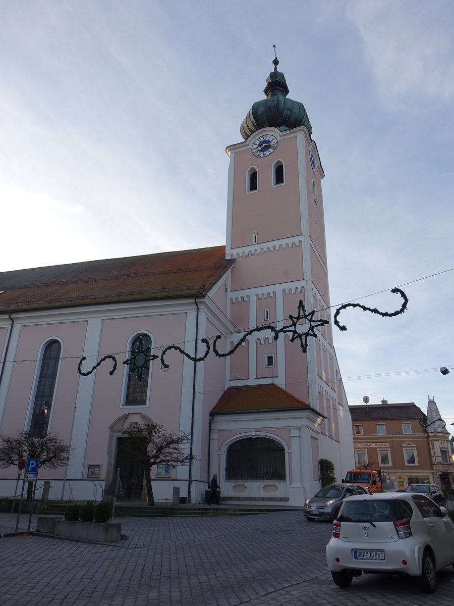 Landau a. d. Isar, Pfarrkirche Maria Himmelfahrt, erbaut ab 1713 durch Baumeister Dominikus Magzin (21.11.2016)
