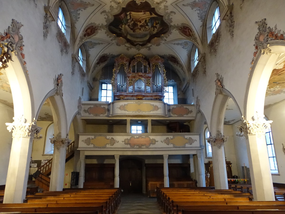 Laufenburg, Orgelempore in der Stadtkirche St. Johann (31.12.2018)