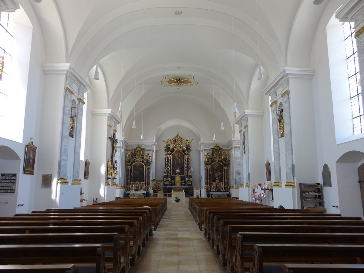 Lauterhofen, Innenraum der kath. Pfarrkirche St. Michael (11.06.2017)