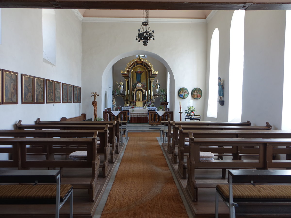 Lebenhan, barocker Innenraum der Kuratiekirche Maria Geburt (08.07.2018)