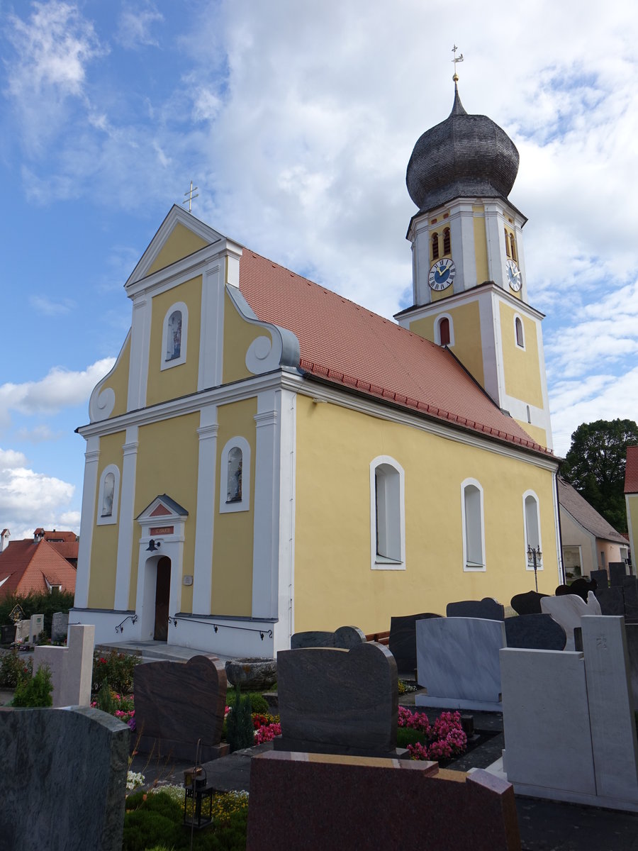 Lengenfeld, kath. Pfarrkirche St. Martin, dreijochige Wandpfeilerkirche, erbaut von 1693 bis 1696 durch Martin Puchtler (20.08.2017)