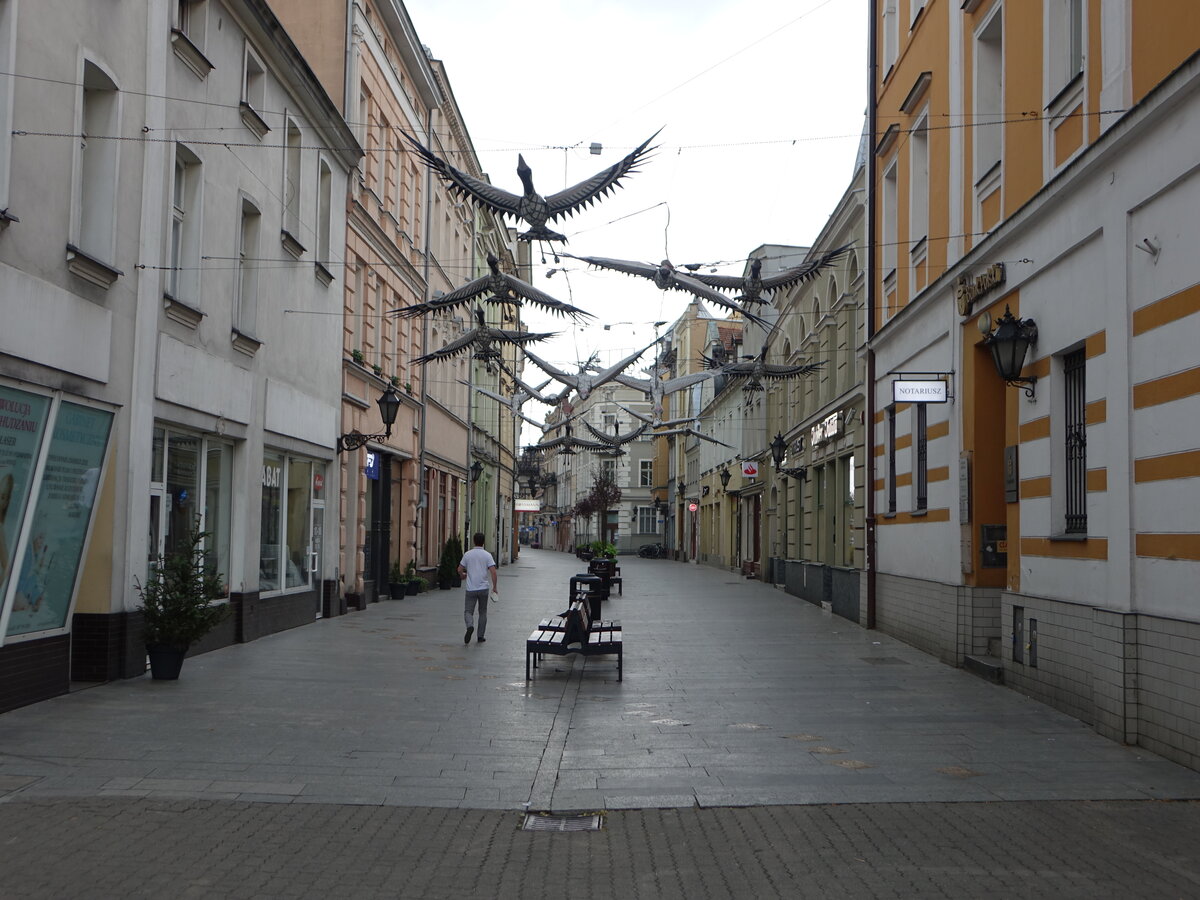 Leszno / Lissa, Huser und Skulpturen in der Koscielna Strae (12.06.2021)